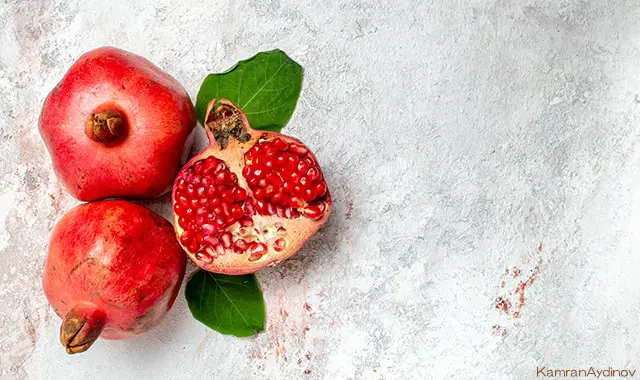 ザクロペインター